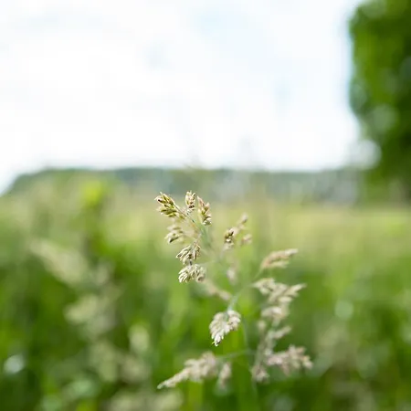 Amtenbrinkshof Apartment