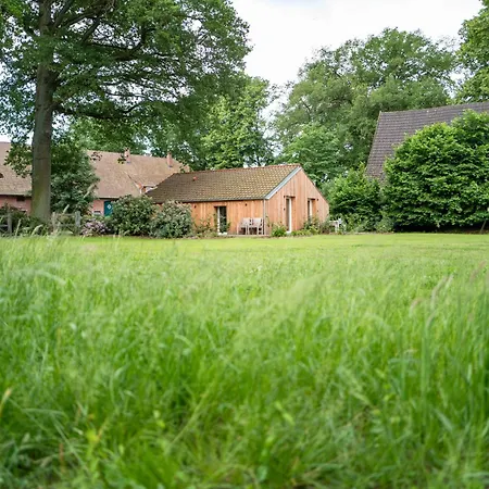 Amtenbrinkshof Apartment