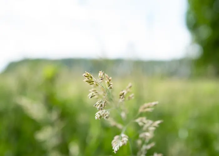 Amtenbrinkshof Appartement
