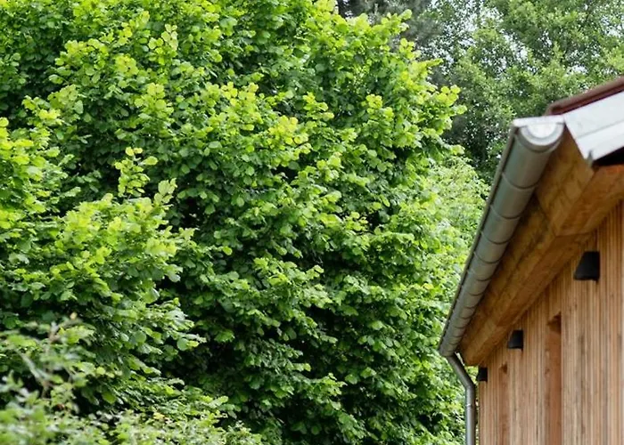 Amtenbrinkshof 아파트